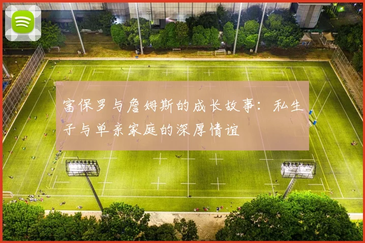 富保罗与詹姆斯的成长故事：私生子与单亲家庭的深厚情谊
