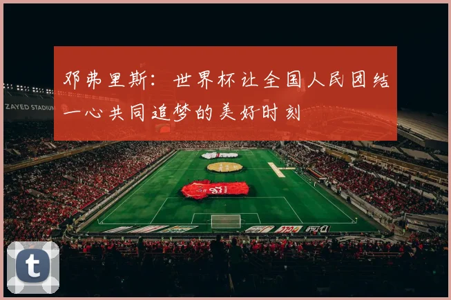 邓弗里斯：世界杯让全国人民团结一心共同追梦的美好时刻